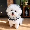 Behavior Management pet supplies collection banner for Pawkko