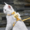 Pawkko Leash Training collection banner