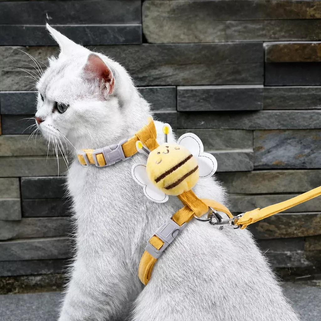 Leash Training