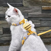Pawkko Leashes collection banner