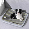 Pawkko Training & Behavior collection banner