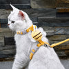 Pawkko Training Tools collection banner
