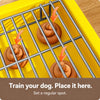 Plastic Dog Potty Tray with Grate