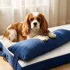 Washable Pet Mattress for Small Dogs
