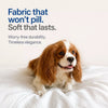 Washable Pet Mattress for Small Dogs