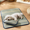 Silicone Pet Mat for Dogs