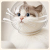 Transparent Plastic Cat Cone Collar for Grooming and Handling