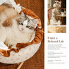 French-Style Cat Bed for Everyday Lounging