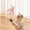 Interactive Feather Cat Toy