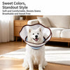 Plastic Elizabethan Collar for Dogs