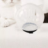 Transparent Plastic Cat Cone Collar for Grooming and Handling
