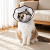 Plastic Elizabethan Collar for Dogs