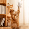 Interactive Feather Cat Toy