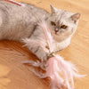 Interactive Feather Cat Toy