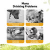 Portable Pet Water Bottle for Walks and Outdoor Travel