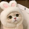 Animal-Inspired Pet Costume Hats for Cats and Dogs