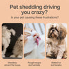 Self-Cleaning Deshedding Brush for Dogs and Cats