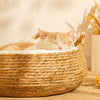 Handwoven Rattan Cat Bed
