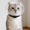 Transparent Plastic Cat Cone Collar for Grooming and Handling