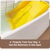 Plastic Dog Potty Tray with Grate