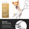 Stainless Steel Pet Grooming Shears