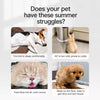 All-Season Washable Pet Bed for Dogs & Cats