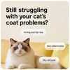 Pet Grooming Comb for Cats & Dogs