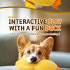 Plush Squeaky Dog Toys – Duck, Disc & Pizza Designs