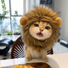 Animal-Inspired Pet Costume Hats for Cats and Dogs