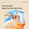 EVA Cat Litter Mat with Two-Layer Design