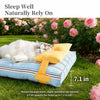Washable Pet Bed for Cats and Dogs