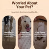 Portable Elevated Mesh Dog Bed