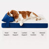 Washable Pet Mattress for Small Dogs