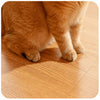 Interactive Feather Cat Toy