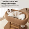 Space-Saving Cat Scratcher and Bed with Sisal Climbing Frame