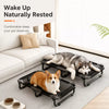 Elevated Foldable Mesh Pet Bed for Dogs