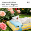 Washable Pet Bed for Cats and Dogs