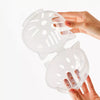 Transparent Plastic Cat Cone Collar for Grooming and Handling