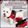 Winged Nylon Dog Harness with Optional Multi-Function Leash
