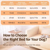 Portable Elevated Mesh Dog Bed