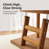 Space-Saving Cat Scratcher and Bed with Sisal Climbing Frame
