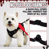 Winged Nylon Dog Harness with Optional Multi-Function Leash