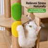 Silicone Pet Bathing & Grooming Brush