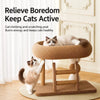 Space-Saving Cat Scratcher and Bed with Sisal Climbing Frame