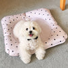 Waterproof Plastic Pet Rest Mat