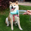 Portable Dog Water Bottle with Foldable Drinking Cup for Travel