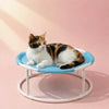 Round Hammock-Style Pet Bed with Hanging Toy