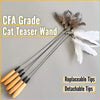 Interactive Feather Cat Wand Toy with Wooden Handle