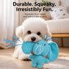 Plush Squeaky Dog Toy for Interactive Play