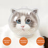 Transparent Plastic Cat Cone Collar for Grooming and Handling